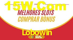 Explore as vantagens do Lobowin: serviço profissional e confiabilidade