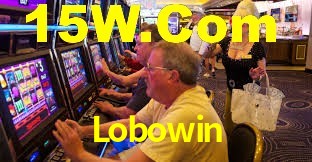Lobowin Plataforma